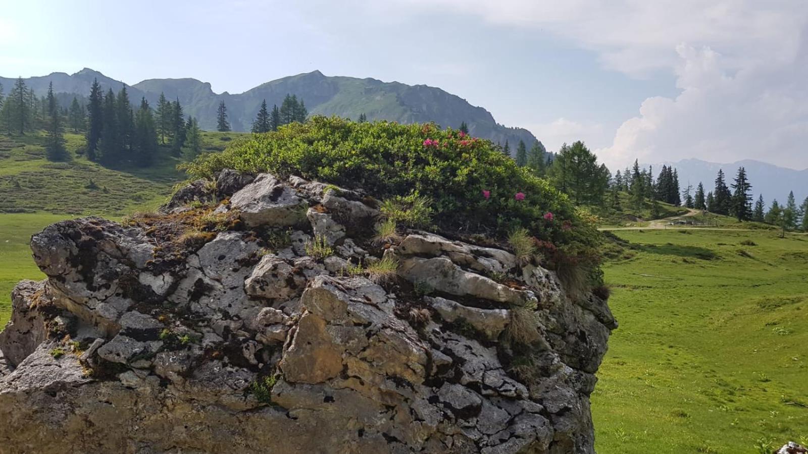 Appartementhaus Goldnugget Schwarzach im Pongau Bagian luar foto