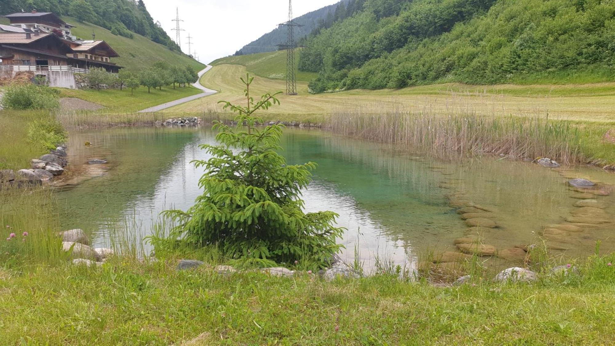 Appartementhaus Goldnugget Schwarzach im Pongau Bagian luar foto